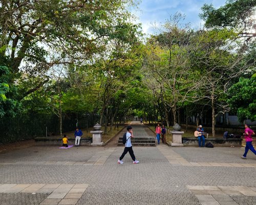 happy people enjoying a walk in the park maintaining inner balance and energy